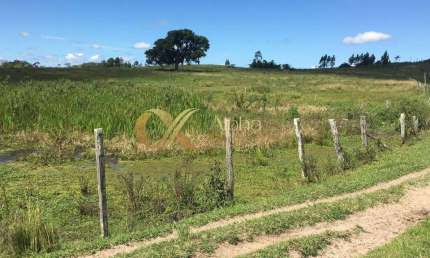 Fazenda à venda em São Vicente de Paula, Araruama 