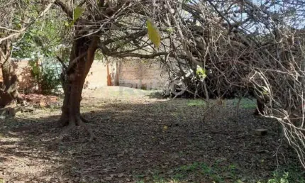 Terreno à venda na rua guilherme de almeida, 354, jardim conceição (sousas), campinas por r$ 650.000