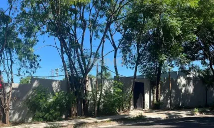 Casa comercial para alugar na Rua Nazaré Paulista, 880, Jardim das Paineiras, Campinas, 320 m2 por R$ 25.000