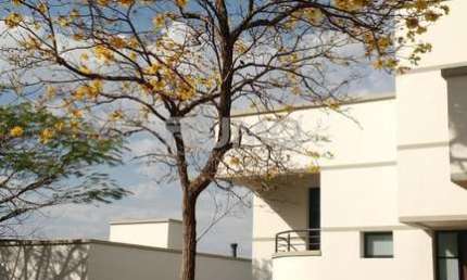 Casa com 4 quartos para alugar na Olympio Pattaro, .587, Loteamento Residencial Barão do Café, Campinas, 450 m2 por R$ 15.000