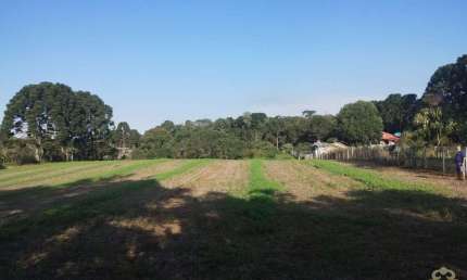 Chácara de terra fértil a venda na Área Rural de São José dos Pinhais