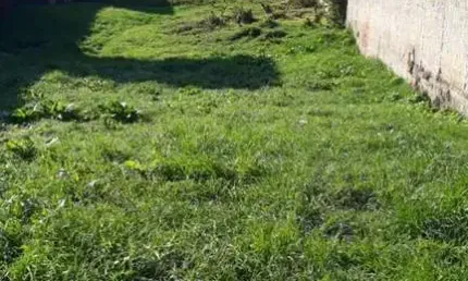 Terreno Residencial à venda, Borda Do Campo, São José dos Pinhais - TE0040.