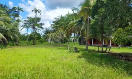 LINDO SITIO COM 400 MIL METROS QUADRADOS NA BEIRA DA ESTRADA  OPORTUNIDADE DE UM BOM INVESTIMENTO