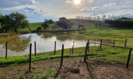 Sitio com 4,5 alq. a 800m da Rod. Cornélio Pires - Bairrinho, Saltinho SP