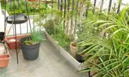 Apartamento com 3 quartos à venda em Vila Mariana - SP