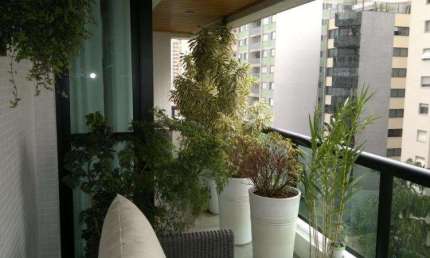 Apartamento com 4 quartos à venda em Aclimação - SP