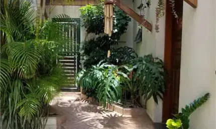 Casa com 4 quartos à venda na Rua Batista Caetano, Aclimação, São Paulo