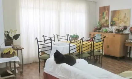 Casa térrea com 3 quartos à venda ou para locação em saúde - sp