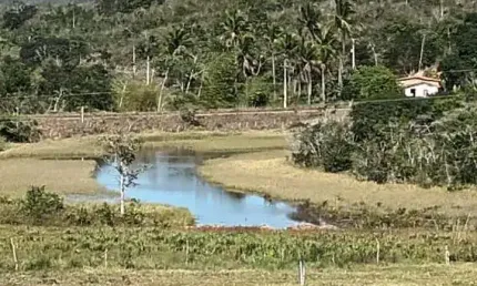 Fazenda à venda no Centro, Araçás 