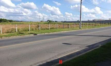 Terreno à venda na Rua Antônio Molleta Filho, Costeira, São José dos Pinhais