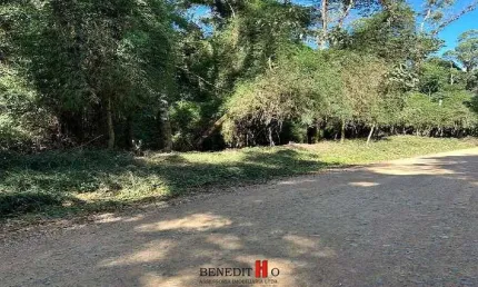 Chácara / sítio com 1 quarto à venda na Estrada Principal, Campestre da Faxina, São José dos Pinhais
