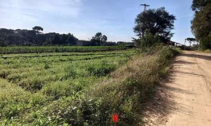 Chácara / sítio com 1 quarto à venda na Estrada Principal, Colônia Murici, São José dos Pinhais