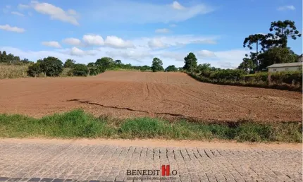 Terreno à venda na Rua José Francisco Negoseki, Colônia Zacarias, São José dos Pinhais