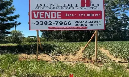 Chácara / sítio com 1 quarto à venda na Cotia, Campo Largo da Roseira, São José dos Pinhais