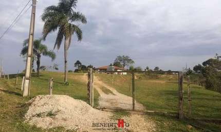 Chácara / sítio com 4 quartos à venda na Rua João Kusma, Campestre da Faxina, São José dos Pinhais