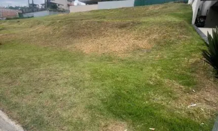 Lote aclive à venda no gênesis ii - 490 m² - alphaville
