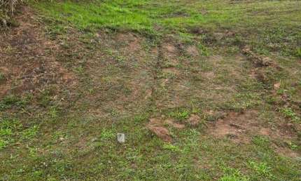 Terreno à venda, 750 m² por R$ 1.750.000 - Paiol Velho - Santana de Parnaíba/SP
