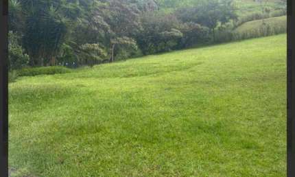 Terreno à venda, 497 m² por R$ 1.700.000,00 - Alpha Sítio - Santana de Parnaíba/SP