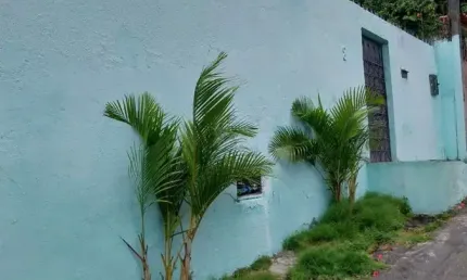 Casa á Venda em Salvador- BA, Mussurunga 1, 4 quartos