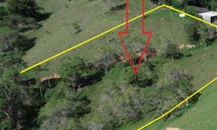 Terreno para Venda em Santo Amaro da Imperatriz, Centro