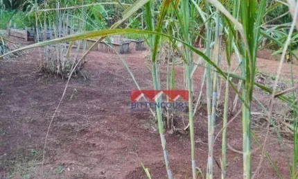 Terreno à venda, 1000 m² por R$ 220.000,00 - Ivoturucaia - Jundiaí/SP