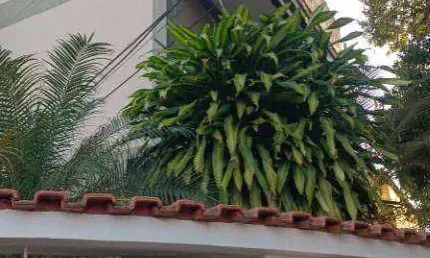 Apartamento com 2 quartos à venda, 52 m² por r$ 350.000 - vila valqueire - rio de janeiro/rj