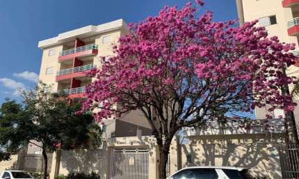 Apartamento com 2 dormitórios à venda, 74 m² por R$ 370.000,00 - Vila Dainese - Americana/SP
