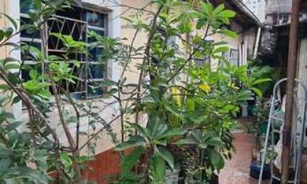 Terreno 10x30 m com casa no Bosque da Saude - Sao Paulo