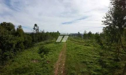 Chácara / sítio à venda em Zona Rural, Cascavel 