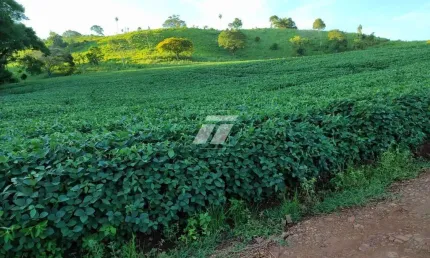Chácara / sítio à venda no Centro, Três Barras do Paraná 