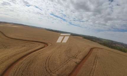 Fazenda de 690 alqueires aptdão Lavoura - 01h de Cascavel