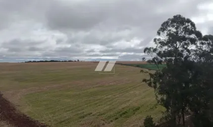 Barracão / Galpão / Depósito à venda em Zona Rural, Cascavel 