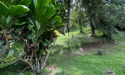Terreno em condomínio fechado à venda na Rodovia Haroldo Soares Glavan, 910, Cacupé, Florianópolis por R$ 1.600.000