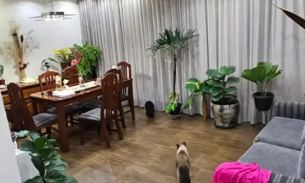 Apartamento com 3 quartos à venda na Rua Antônio Gomes, 135, Vila Santo Antônio, Guarulhos