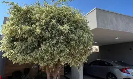 Casa de quatro quartos com suíte e closet, a venda, no condomínio San Marino em Birigui
