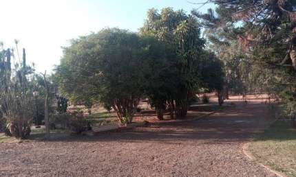 Chácara / sítio com 5 quartos à venda na Estrada Três Marias, S/N, Área Rural de Birigüi, Birigui