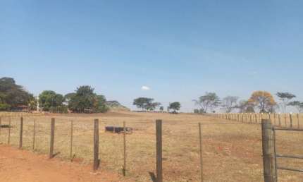 Chácara / sítio com 4 quartos à venda na Rodovia Feliciano Sales Cunha, S/N, Zona Rural, Nhandeara