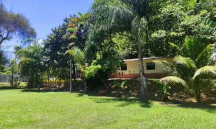 Sítio dos sonhos em tinguá – 20.000m² de lazer, conforto e renda!