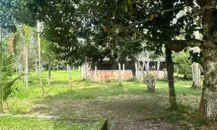 Chácara / sítio com 4 quartos à venda na Rua da Floresta, 2785, Tarumã, Manaus