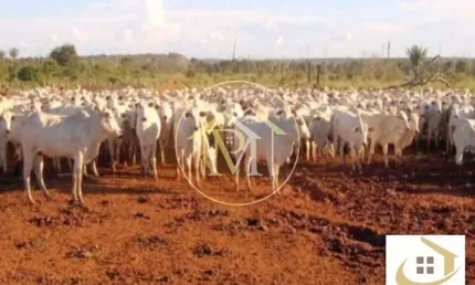 Terreno à venda na Zona Rural, Castanheira 