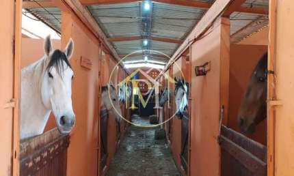 Haras com 4 dormitórios à venda, 192000 m² por R$ 3.500.000,00 - Jardim Santa Cruz - Iperó/SP
