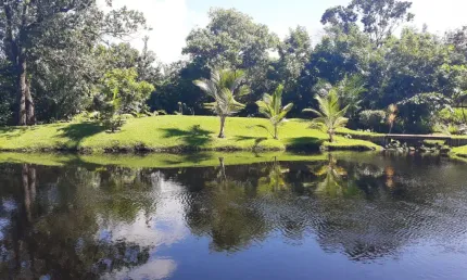 Chácara no Condomínio Parque das Árvores - Estrada do Coco , Condomínio Clube