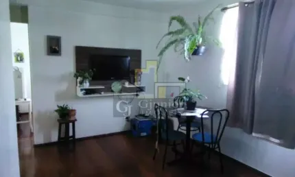 Apartamento com 2 Dormitórios + Garagem, Parque Residencial Vila União, Campinas (SP) - AP1316