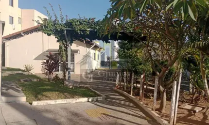 Apartamento com 2 Dormitórios, Vila Abaeté, Campinas (SP) - AP992