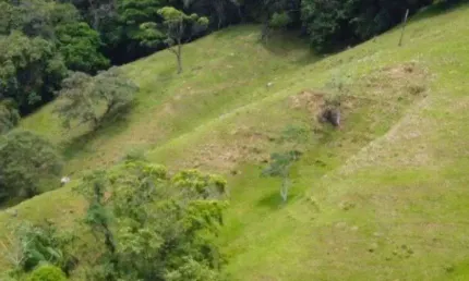 Terreno à venda, 87000 m² por r$ 798.000,00 - colônia santana - são josé/sc