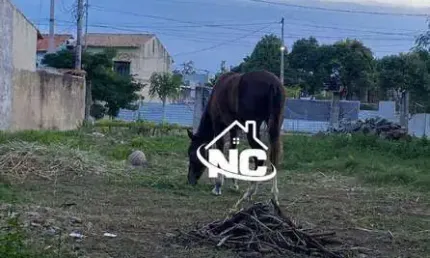 Excelente terreno próximo ao túnel cafubá x charitas