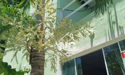 Casa com 3 quartos à venda, 250 m² por r$ 450.000 - itaipu - niterói/rj
