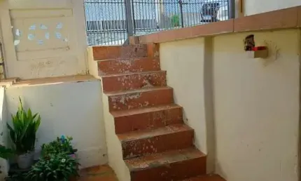 Casa tipo para venda em Vila Palmeiras com 2 quartos, 65m²
