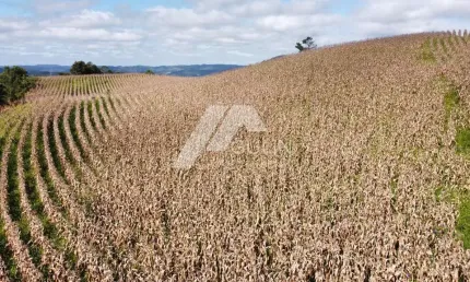 Terreno à venda no Centro, Campo Magro 