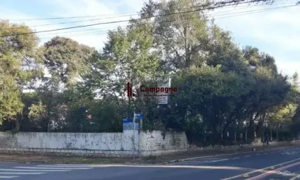Terreno comercial para alugar na Rua Cidreira, 21, Ipanema, Porto Alegre